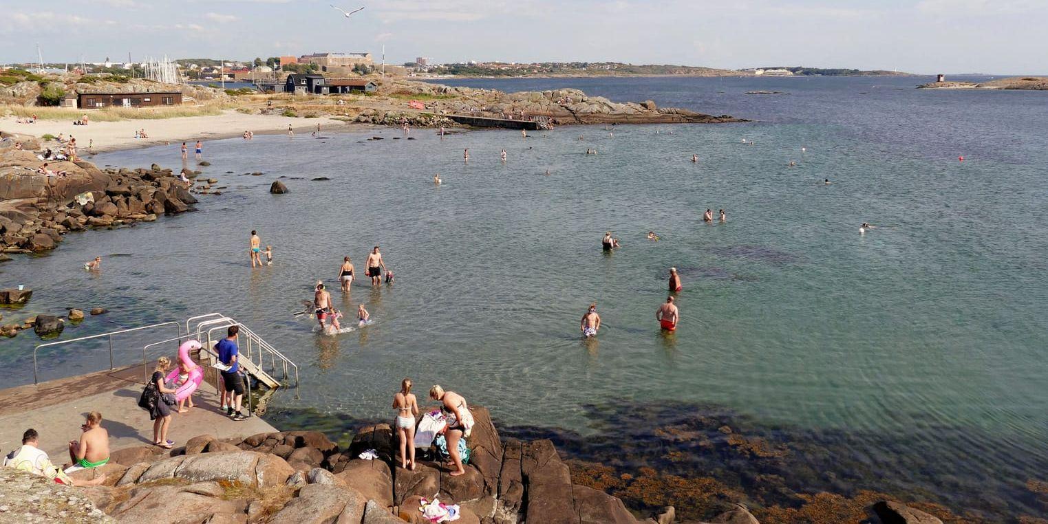 Det var fullt av tång på stranden när insändarskribenten skulle bada på Getterön.