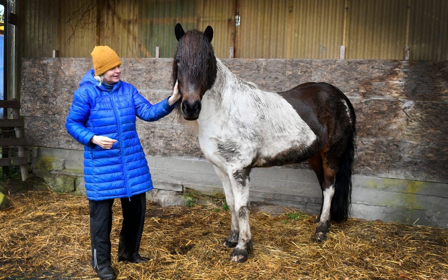 Madelaine Sandström på Åsens gård islandhästar och ridskola har en maxvikt på sina hästar.
