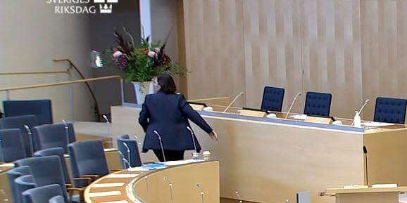 Utrikesminister Maria Malmer Stenergard (M) fick springa ut från en debatt i riksdagen när en påse tomater och lök kastades från läktaren.